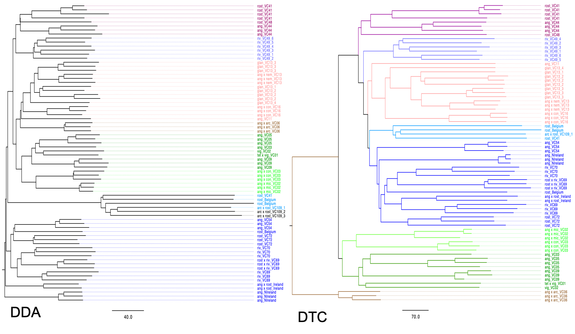../_images/DTC-1.png