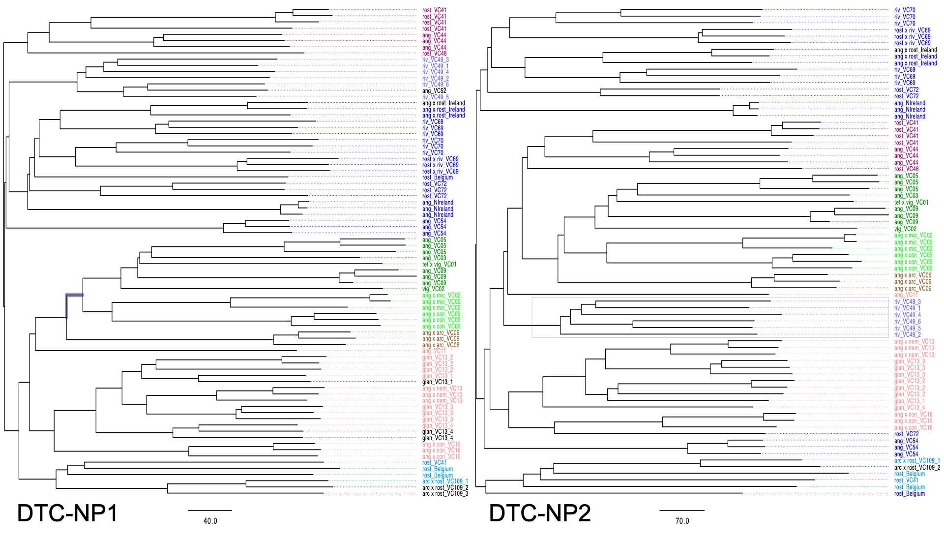 ../_images/DTC-2.png