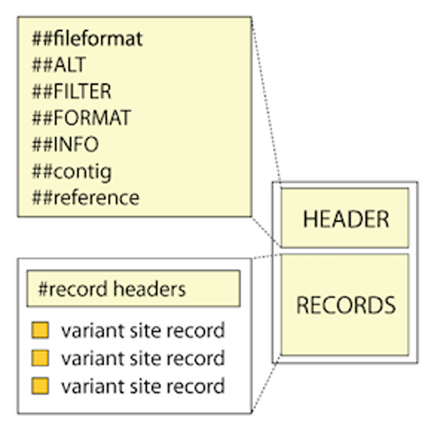 ../_images/VCFcomponent.png